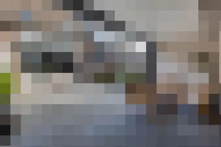Vijverhof 37 Almelo thumbnail 25