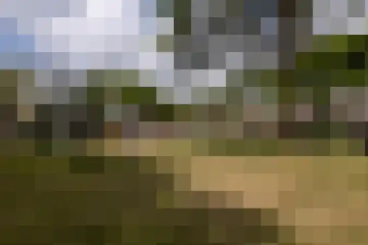 Vijverhof 37 Almelo thumbnail 29