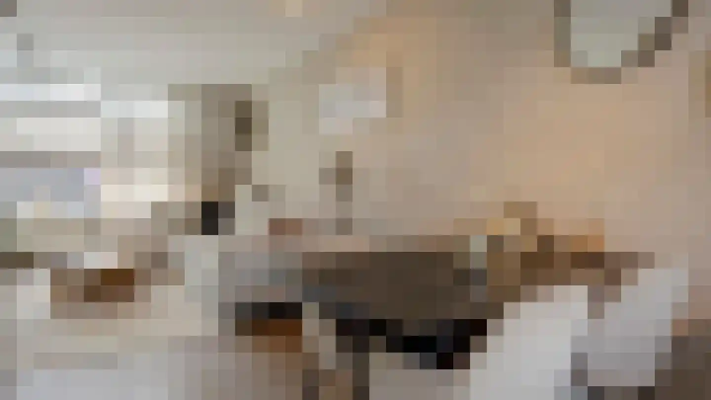 Vijverhof 39 Almelo thumbnail 11