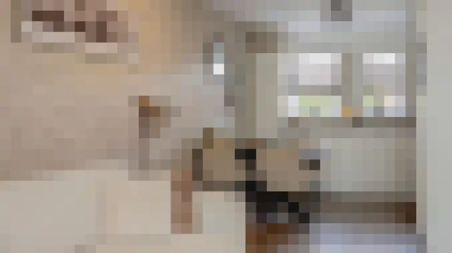 Vijverhof 39 Almelo thumbnail 12