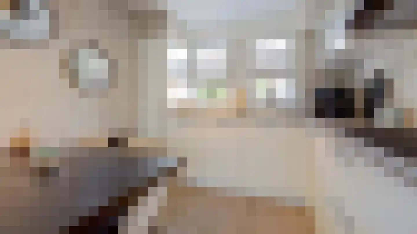 Vijverhof 39 Almelo thumbnail 14