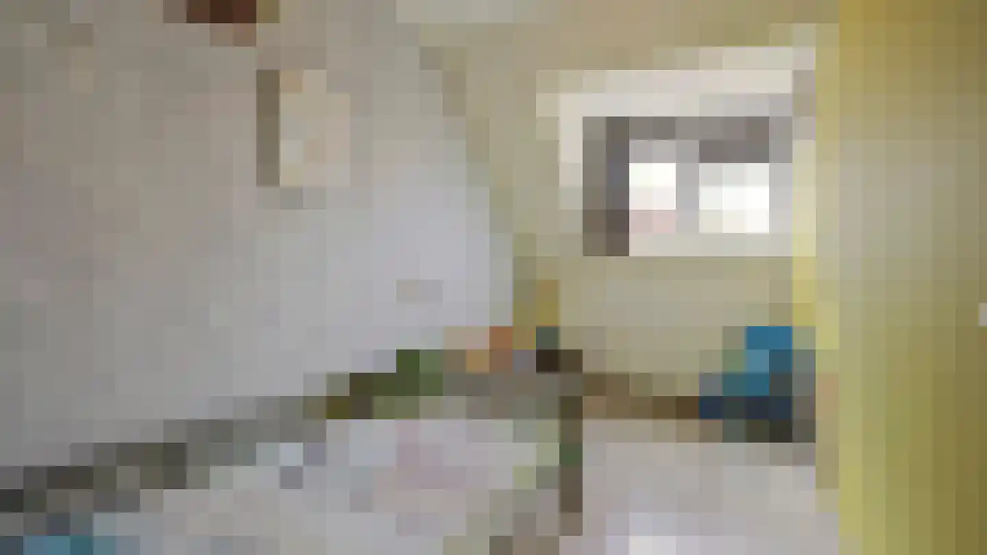 Vijverhof 39 Almelo thumbnail 19