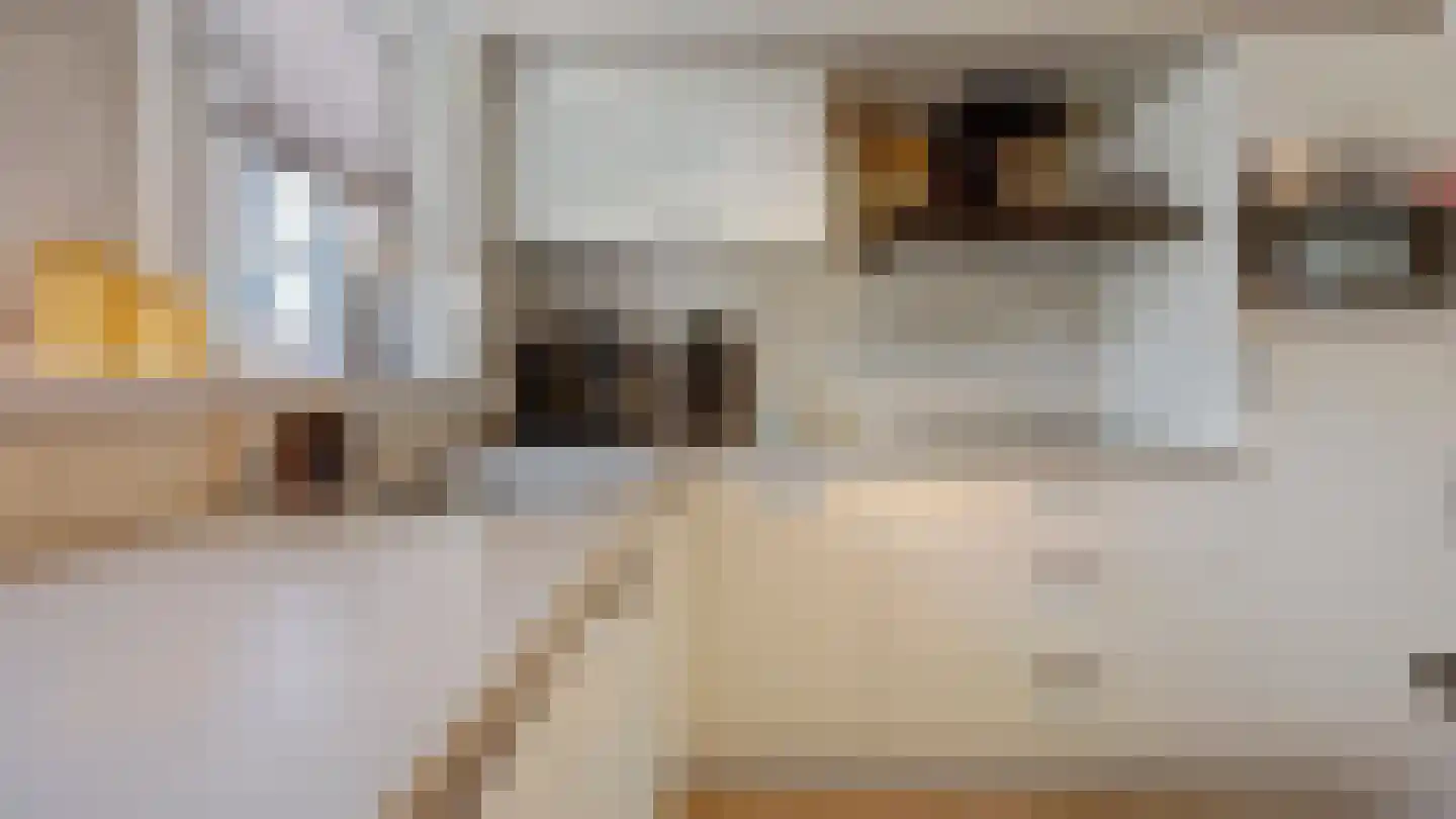 Vijverhof 39 Almelo thumbnail 5