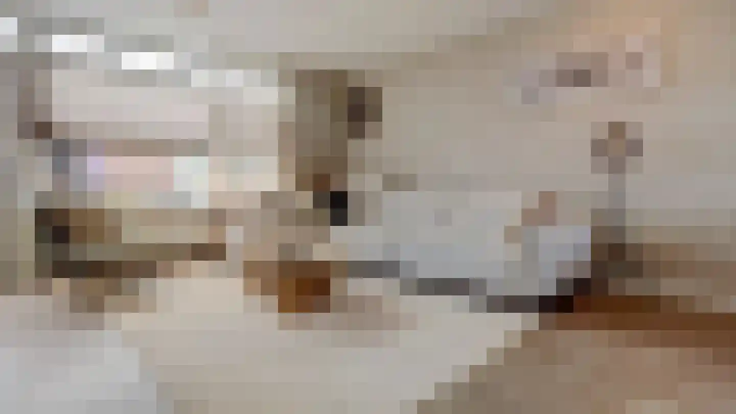 Vijverhof 39 Almelo thumbnail 7