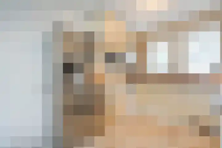 Vijverhof 43 Almelo thumbnail 10