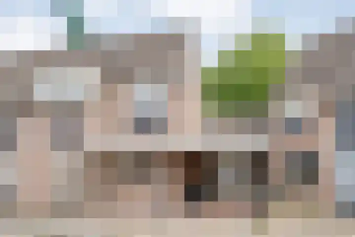 Vijverhof 43 Almelo thumbnail 26