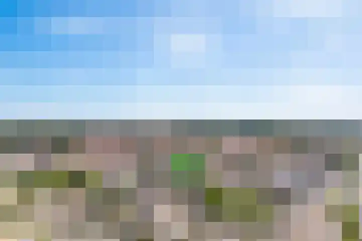 Vijverhof 43 Almelo thumbnail 4