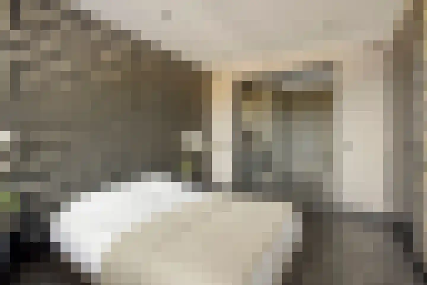 Vijverhof 48 Avenhorn thumbnail 29