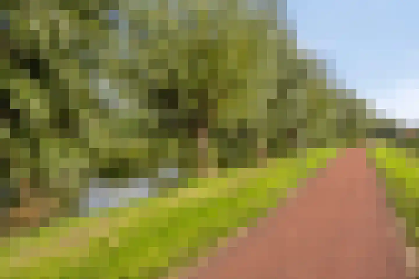 Vijverhof 48 Avenhorn thumbnail 36