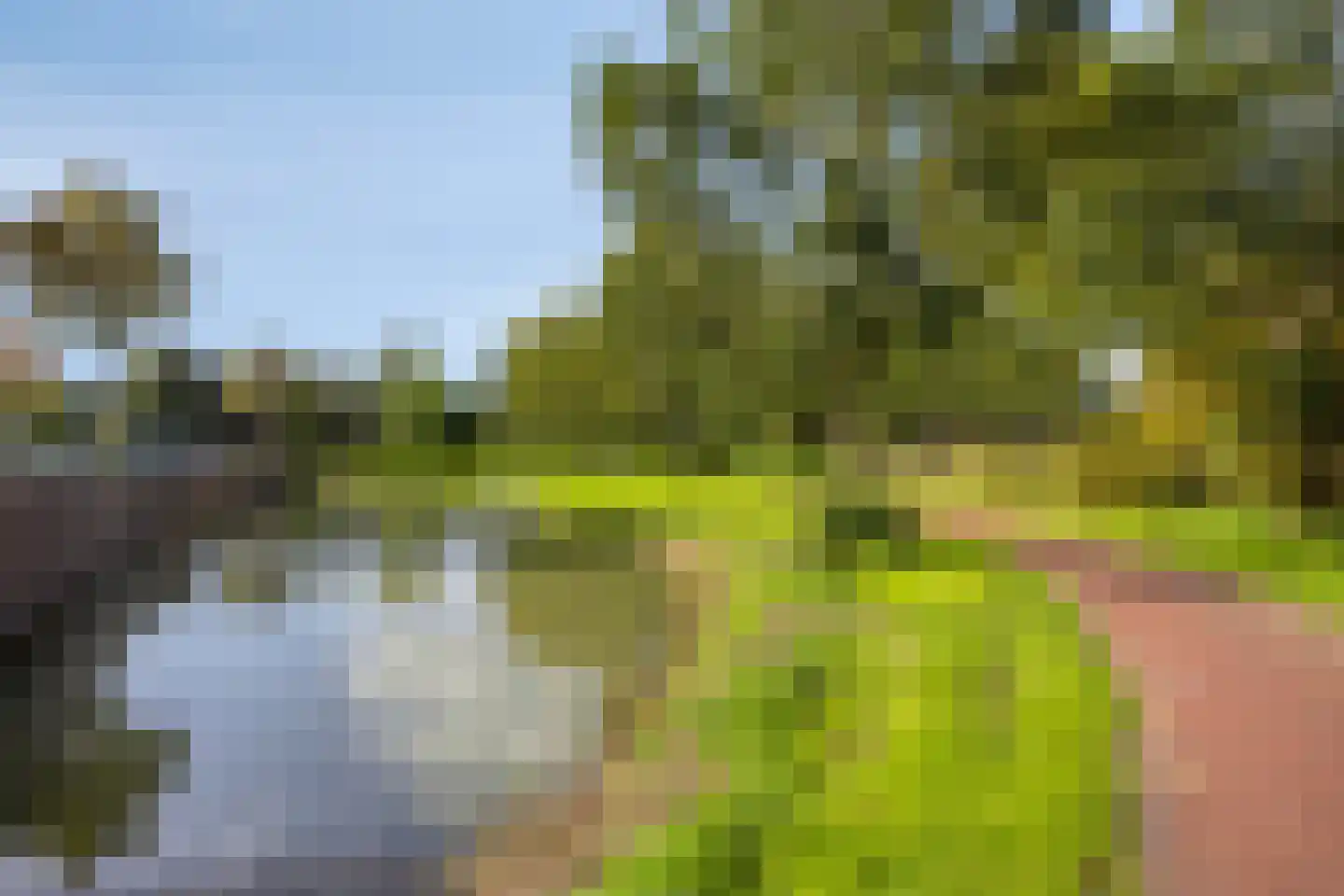 Vijverhof 48 Avenhorn thumbnail 37