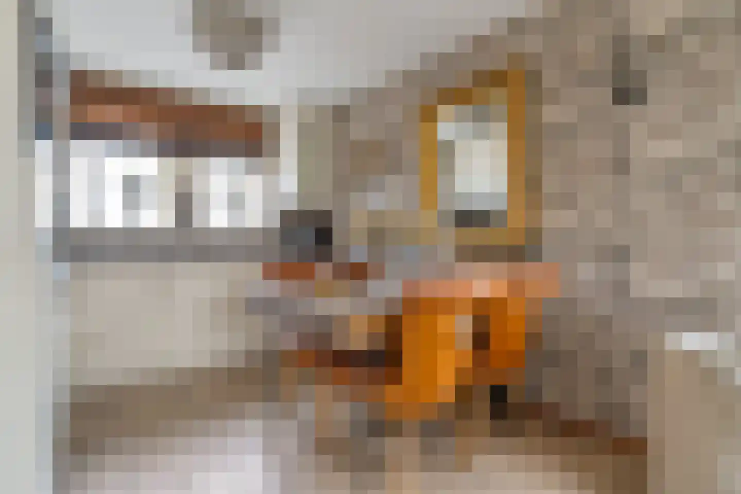 Vijverhof 49 Almelo thumbnail 11
