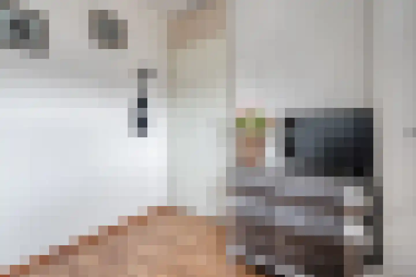 Vijverhof 49 Almelo thumbnail 17