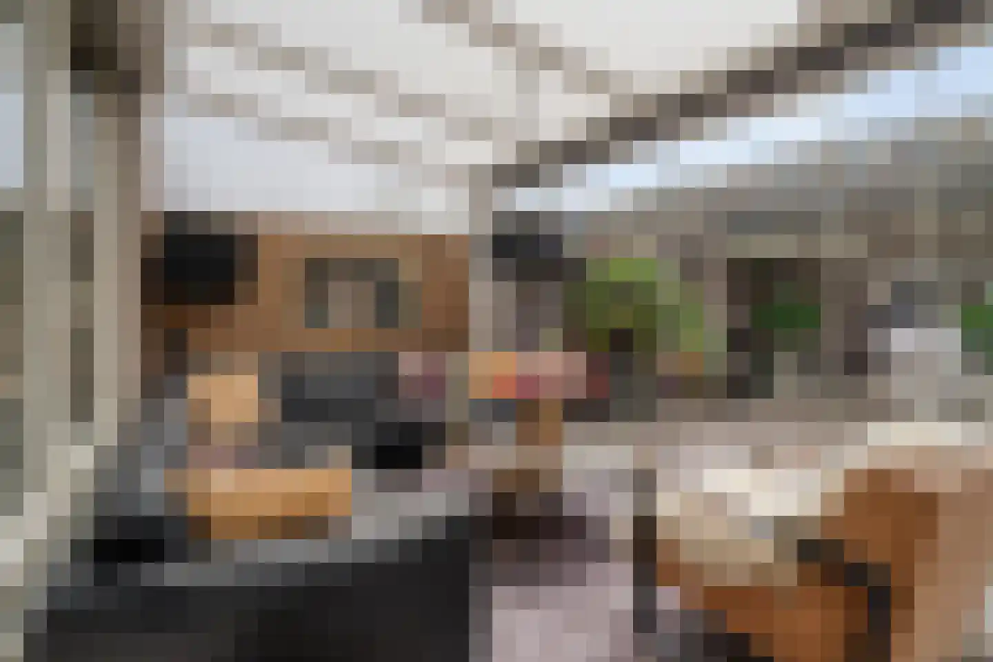 Vijverhof 49 Almelo thumbnail 24