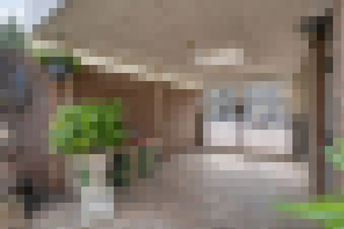 Vijverhof 49 Almelo thumbnail 30
