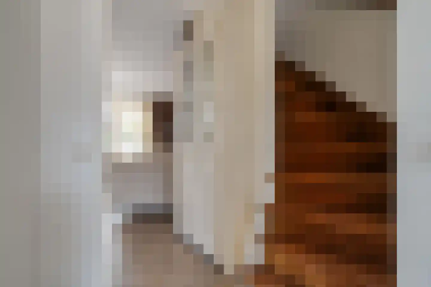 Vijverhof 49 Almelo thumbnail 4