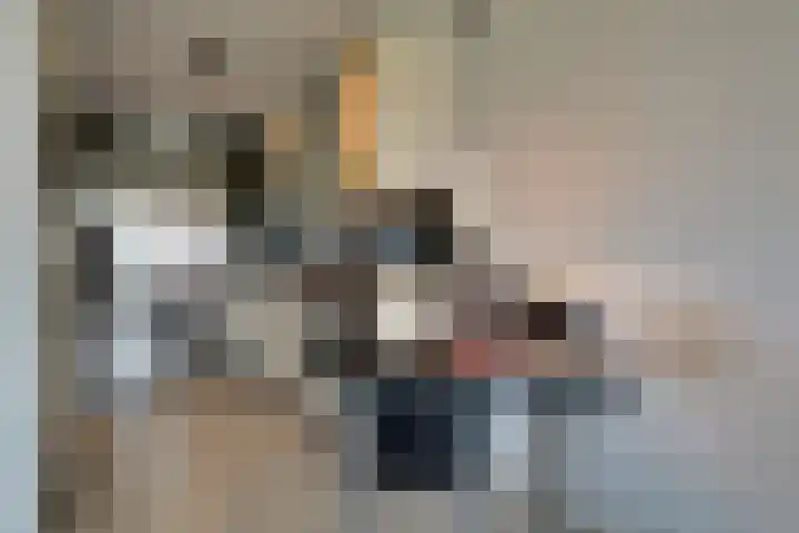 Vijverhof 51 Avenhorn thumbnail 24