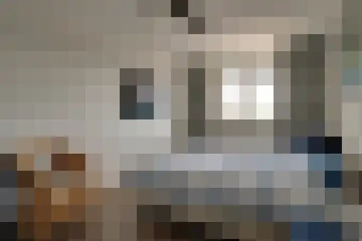 Vijverhof 51 Avenhorn thumbnail 27