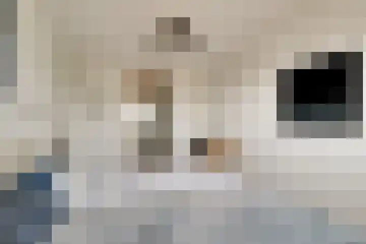 Vijverhof 51 Avenhorn thumbnail 30