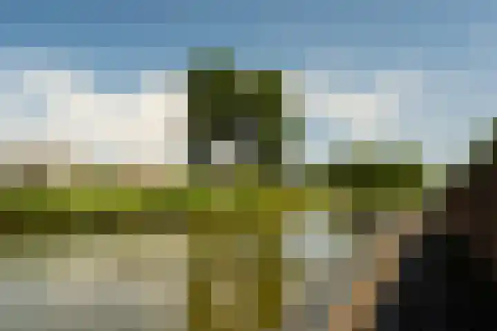 Vijverhof 51 Avenhorn thumbnail 36