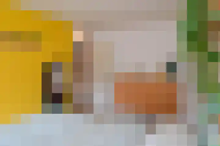 Vijverhof 53 Almelo thumbnail 15