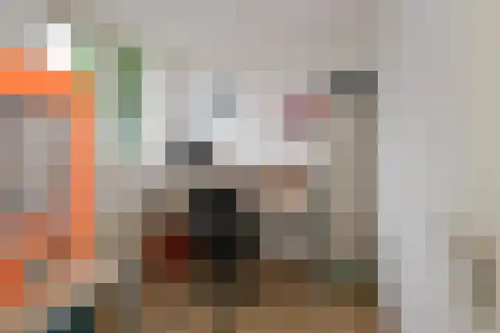Vijverhof 53 Almelo thumbnail 17