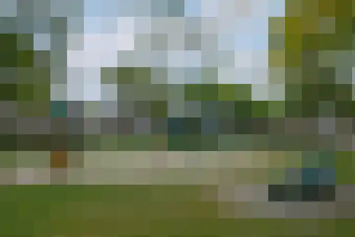 Vijverhof 53 Almelo thumbnail 21