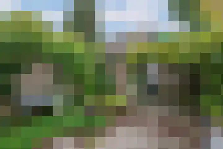 Vijverhof 53 Almelo thumbnail 6