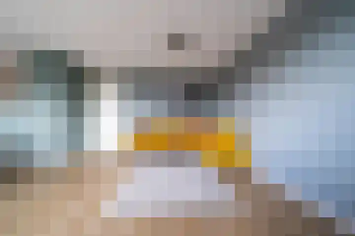Vijverhof 56 Avenhorn thumbnail 45