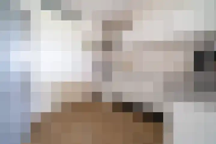 Vijverhof 56 Avenhorn thumbnail 53