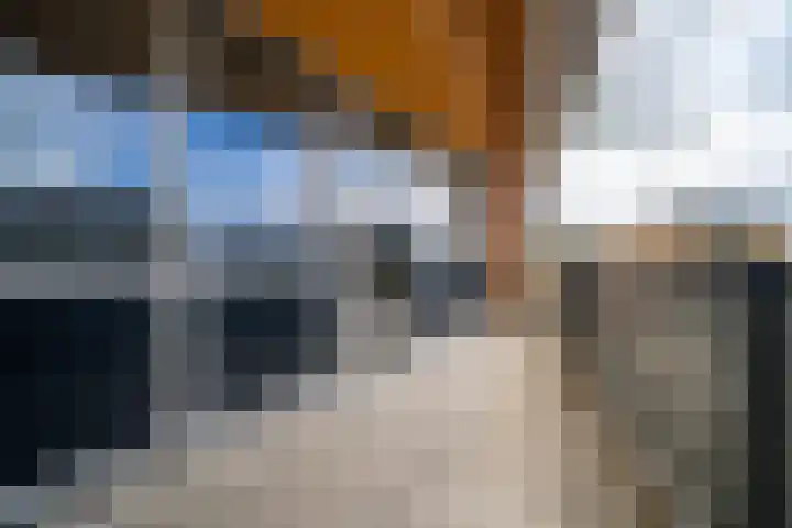 Vijverhof 56 Avenhorn thumbnail 59