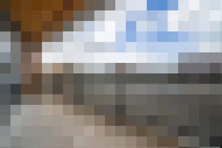 Vijverhof 56 Avenhorn thumbnail 61