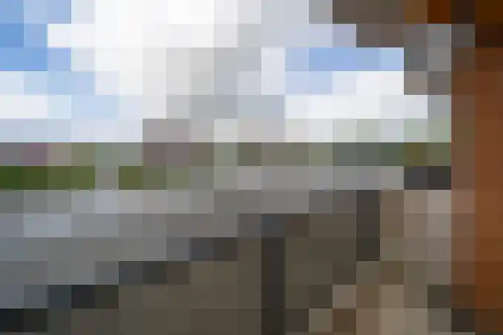 Vijverhof 56 Avenhorn thumbnail 62