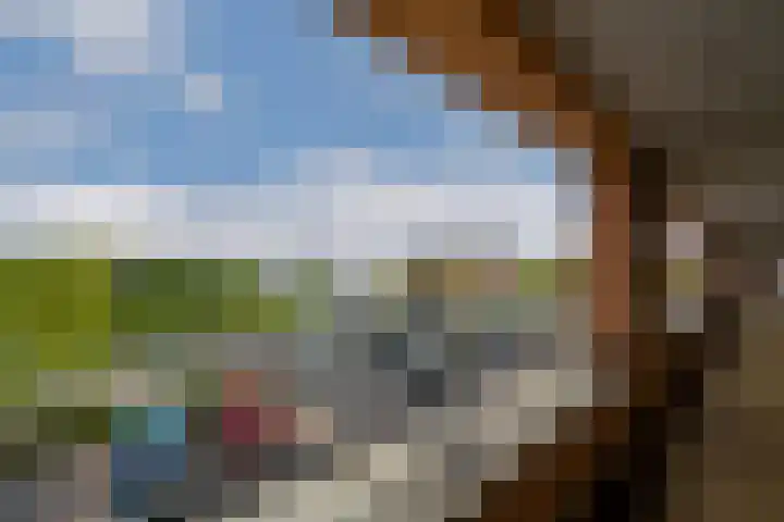 Vijverhof 56 Avenhorn thumbnail 9