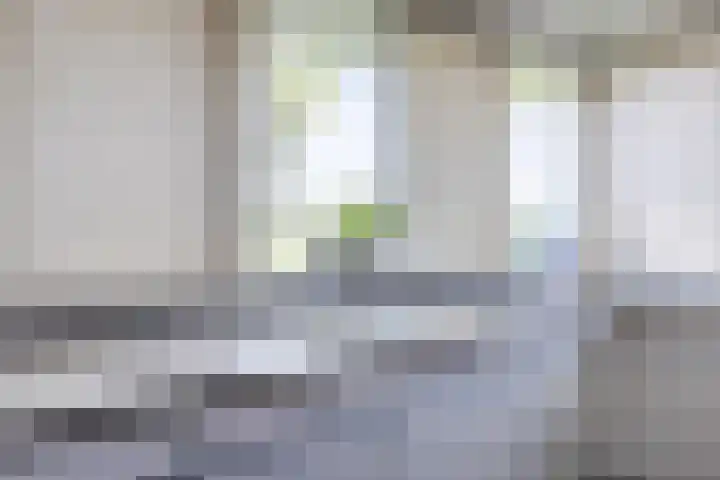 Vijverhof 7 Terneuzen thumbnail 15