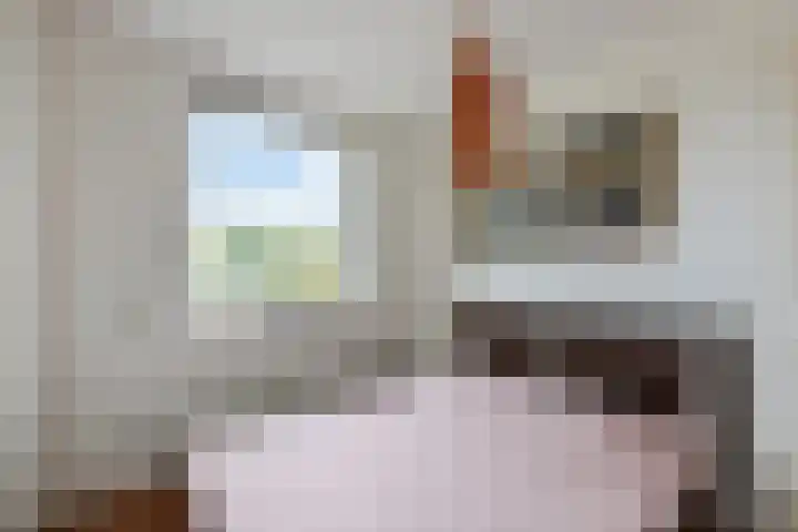 Vijverhof 7 Terneuzen thumbnail 22