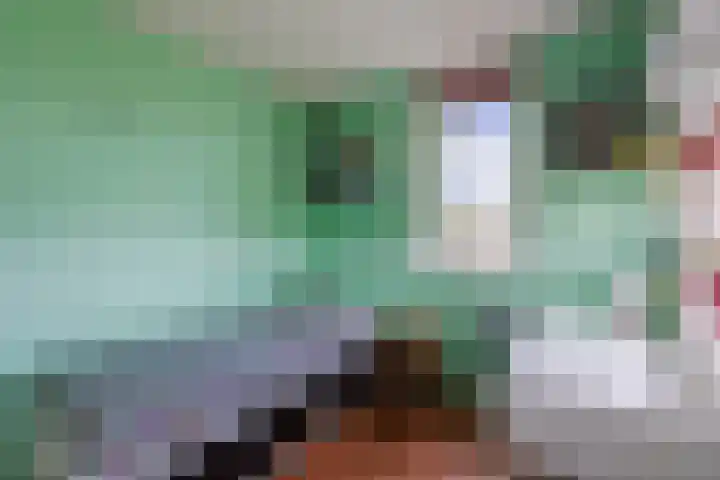 Vijverhof 7 Terneuzen thumbnail 24