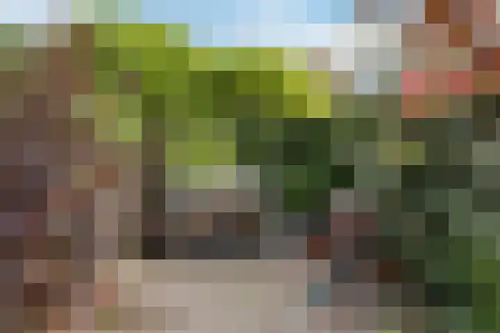 Vijverhof 7 Terneuzen thumbnail 32