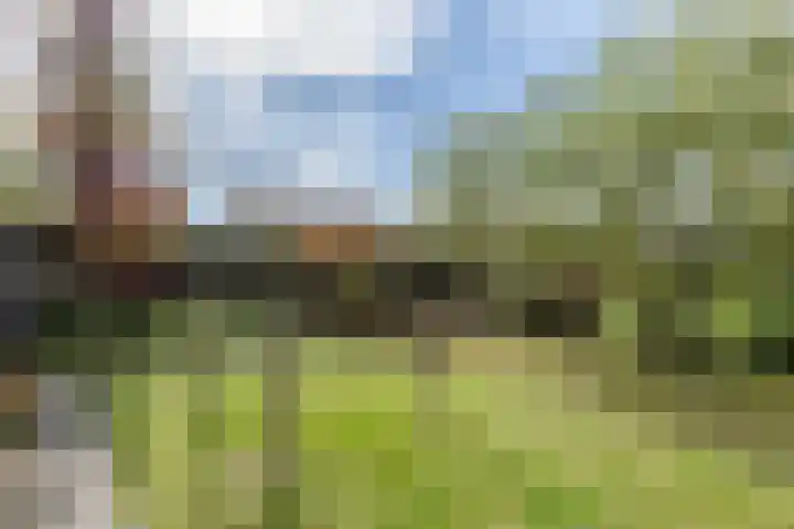 Vijverhof 7 Terneuzen thumbnail 33