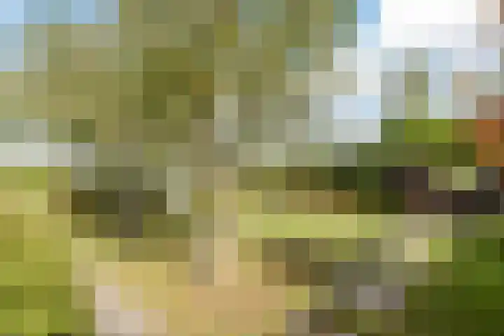 Vijverhof 7 Terneuzen thumbnail 34