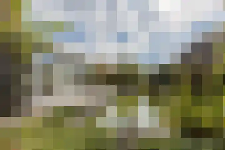 Vijverhof 7 Terneuzen thumbnail 35