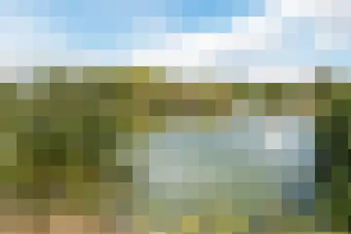 Vijverhof 7 Terneuzen thumbnail 38