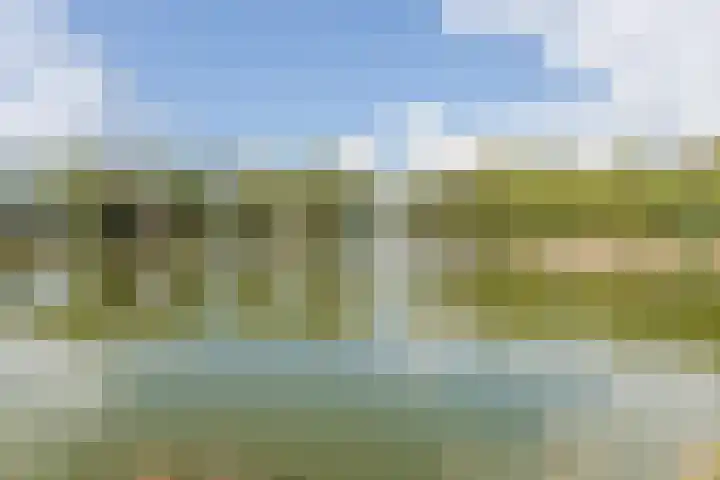 Vijverhof 7 Terneuzen thumbnail 39