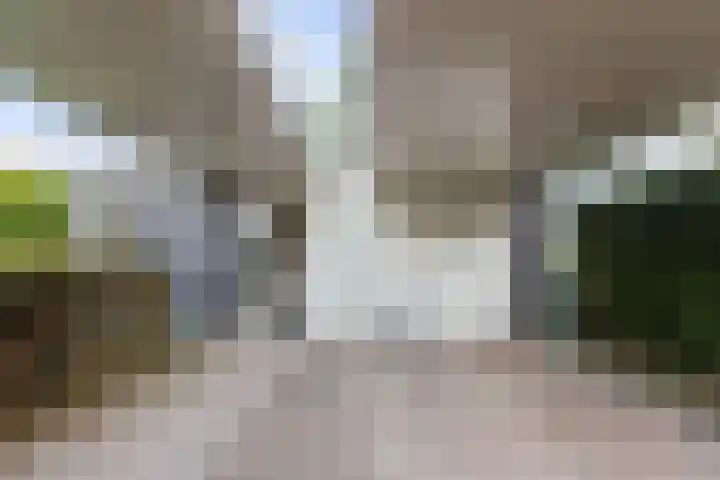 Vijverhof 7 Terneuzen thumbnail 4