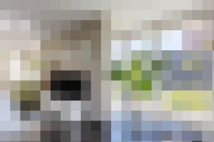 Vijverhof 7 Terneuzen thumbnail 7