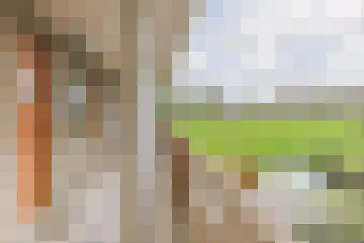 Vijverhof 81 Nieuwkoop thumbnail 22