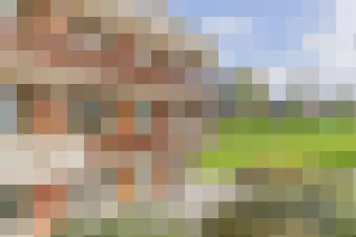 Vijverhof 81 Nieuwkoop thumbnail 23
