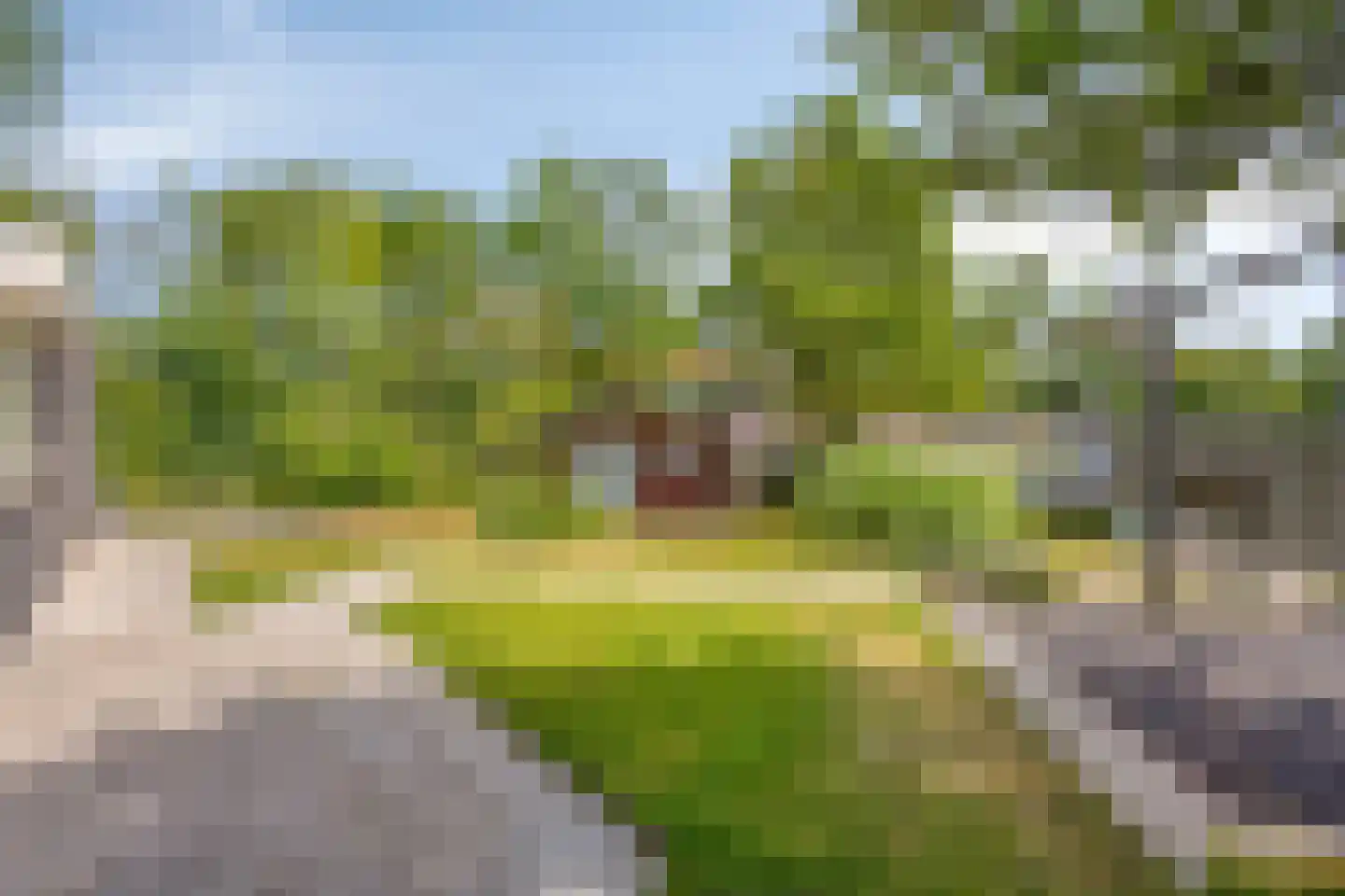 Vijverhof 9 Terneuzen thumbnail 41