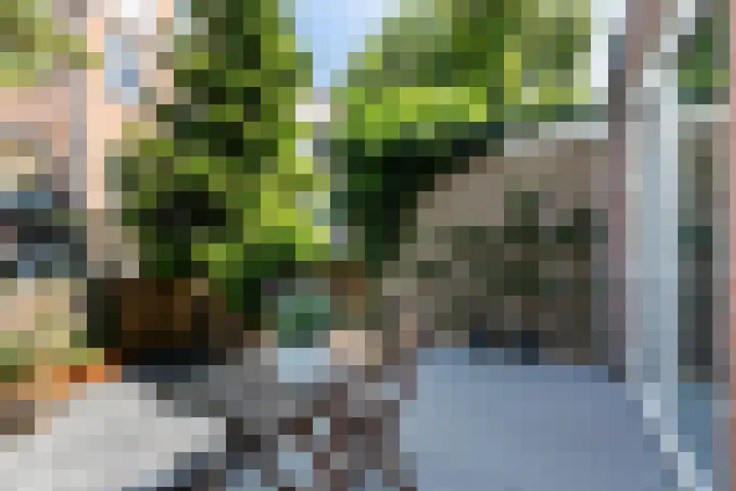 Vijverhofstraat 175 A Rotterdam thumbnail 39
