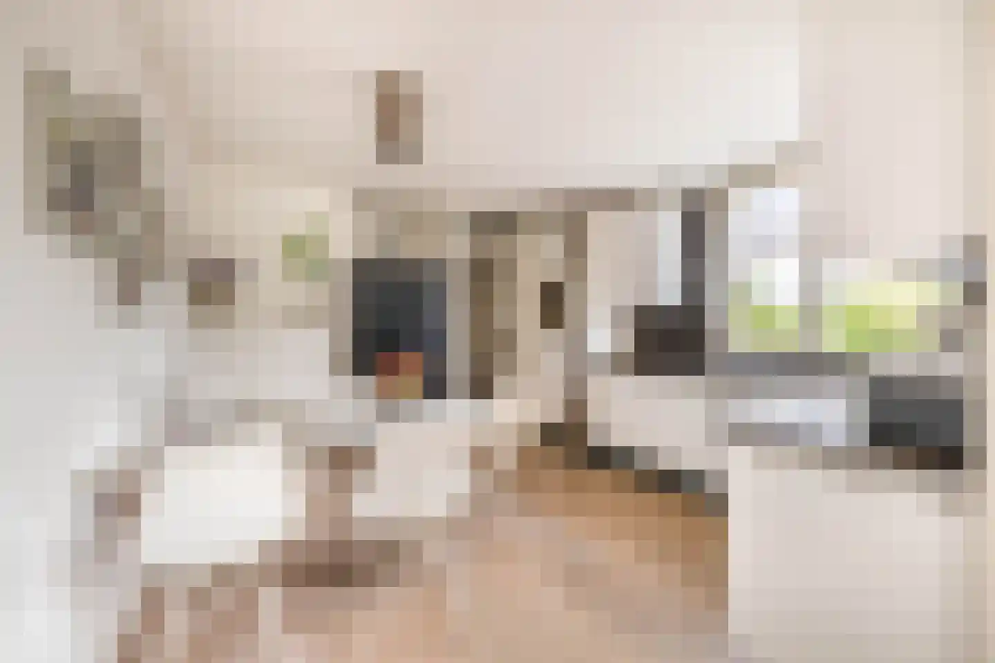 Vijverhofstraat 35 Venlo thumbnail 15