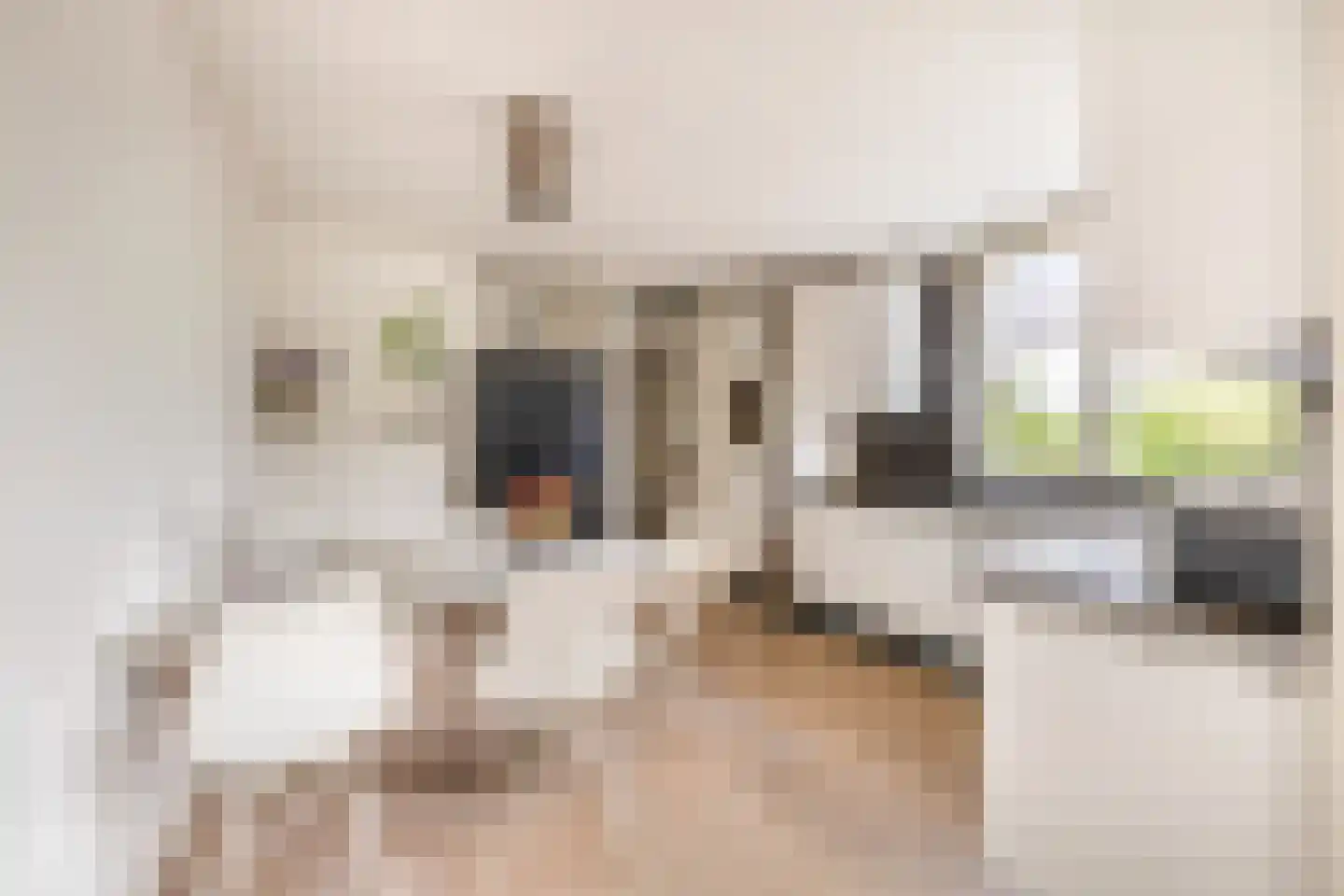 Vijverhofstraat 35 Venlo thumbnail 18